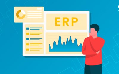 Do You Need a Full-Fledged ERP System?