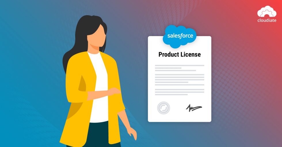 all-you-need-to-know-about-salesforce-licenses-cloudiate