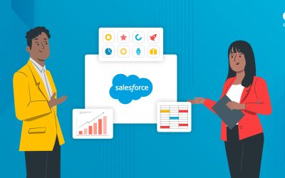 What Can You Expect From Your Salesforce Consultant?