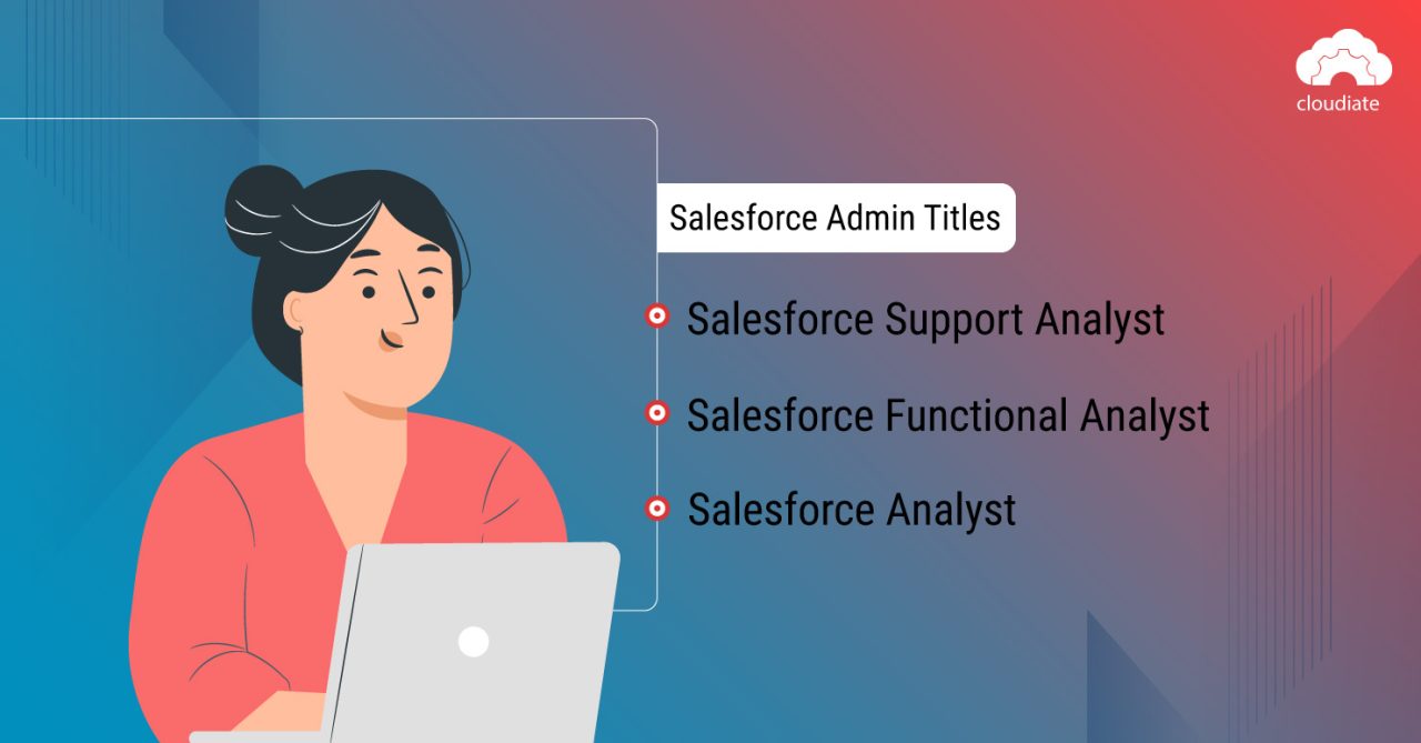 Salesforce Admin vs. Salesforce Developer: Who Will Be Right for Your ...