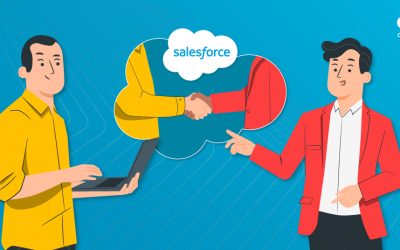 Salesforce Consultants: Who Are They, and How to Choose One for Your Business?